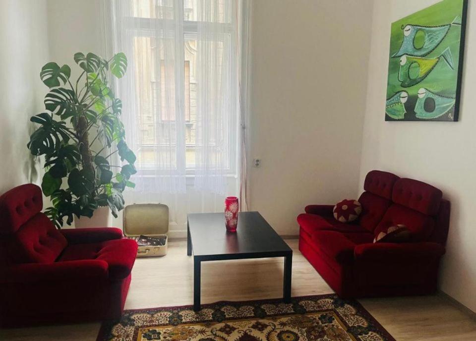 Ejjeli Majom Hostel بودابست المظهر الخارجي الصورة